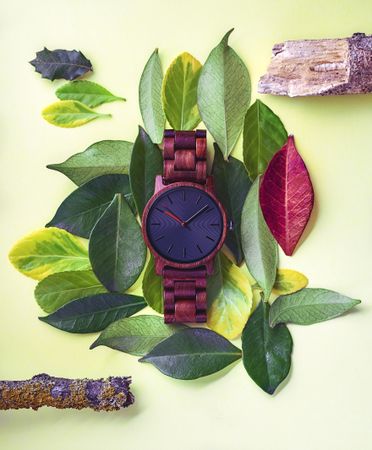 Wrist watch on top of leaves on a table