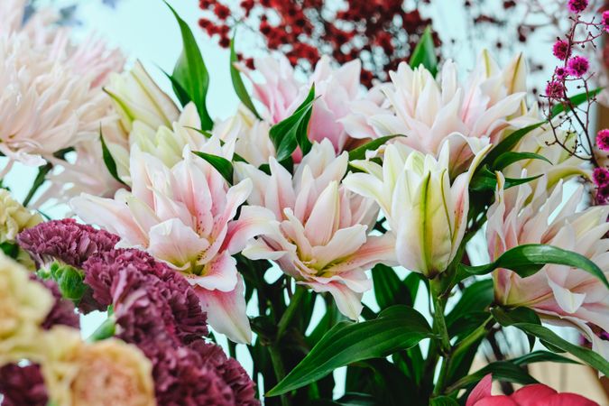 Bunch of blooming flowers in light room