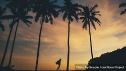 Silhouette of man with backpack walking near palm tree during sunset 5QkZnb