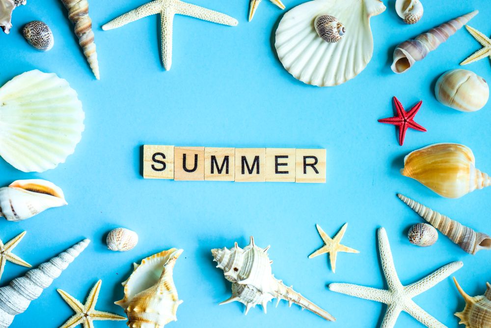 "Summer" on baby blue background with sea shells