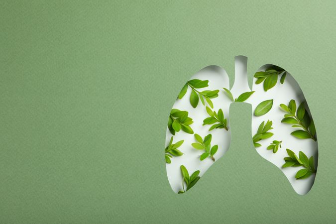 Lung shape cut out of green paper revealing leaves underneath with copy space