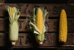 Phases of fresh corn peeling