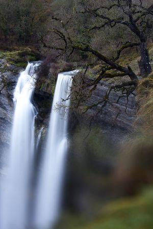 Autumn tree and waterfall