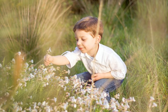Happy cute kid picking flowers in a field