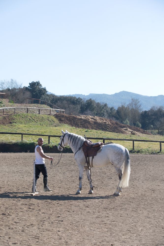 Side view of a man walking with his horse