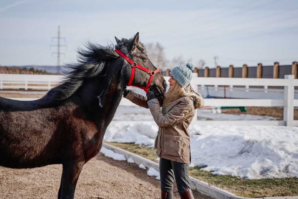Warm dressed woman with brown horse by hay