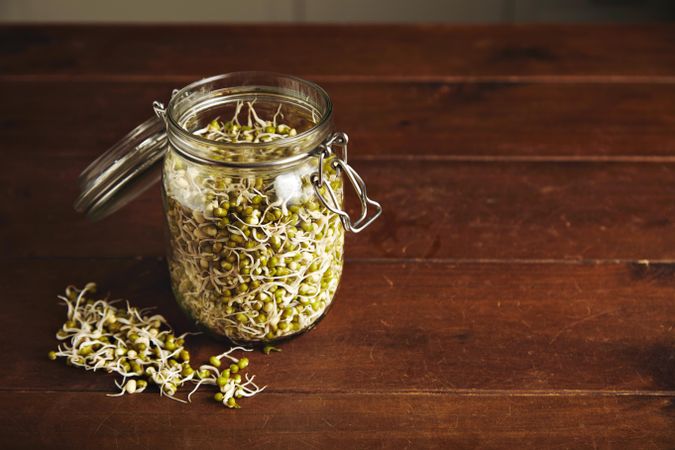 Bean sprouts in glass jar