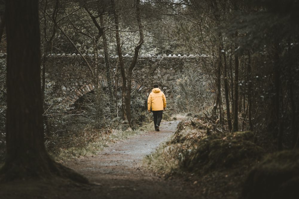 Tourist walking on footpath in forest park