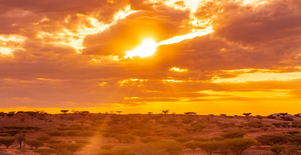Kenya East Africa Landscapes Kalokol Lodwar Town Turkana Sunset Sunrise Highway Road Field Travels