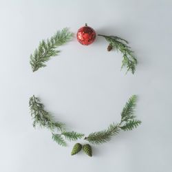 Christmas round frame made with natural winter evergreen tree branche
