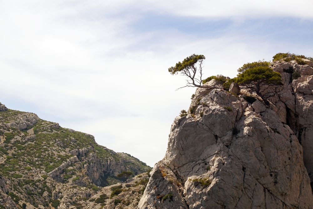 Mountain landscape with rocks and tree