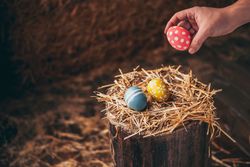 Hand placed Easter eggs on wooden stump