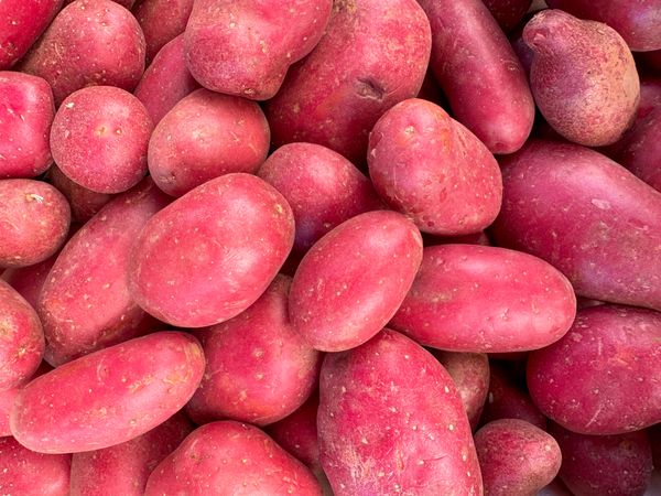 Red potatoes for sale in market