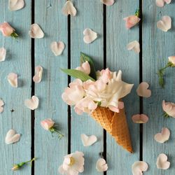 Flowers in ice cream cone on wooden background
