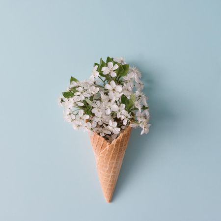 Ice cream cone with flowers and leaves