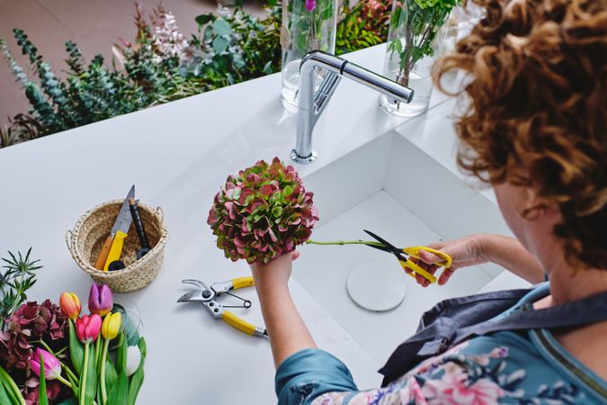 Woman making bouquet of hydrangeas in flower shop