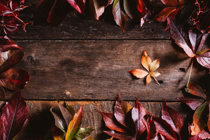 Orange and red autumn leaves on wooden surface