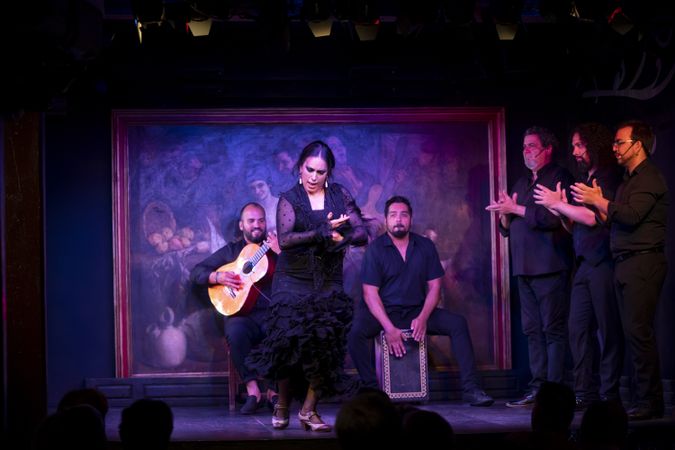 Flamenco performance on stage