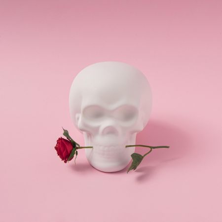 Skull with rose flower