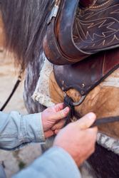 Man hands placing saddle on a horse