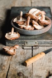 Pile of fresh brown mushrooms on rustic wooden table