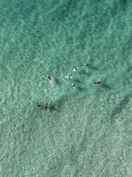 Top view of professional surfers in the beautiful ocean water