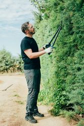 Man pruning arizonica hedge