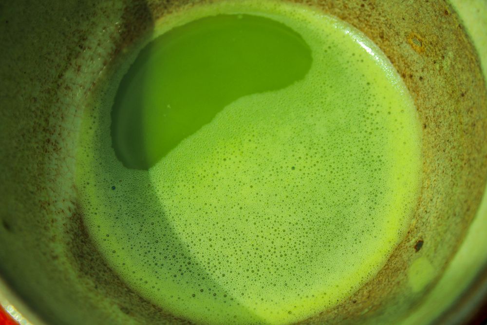 Matcha closeup