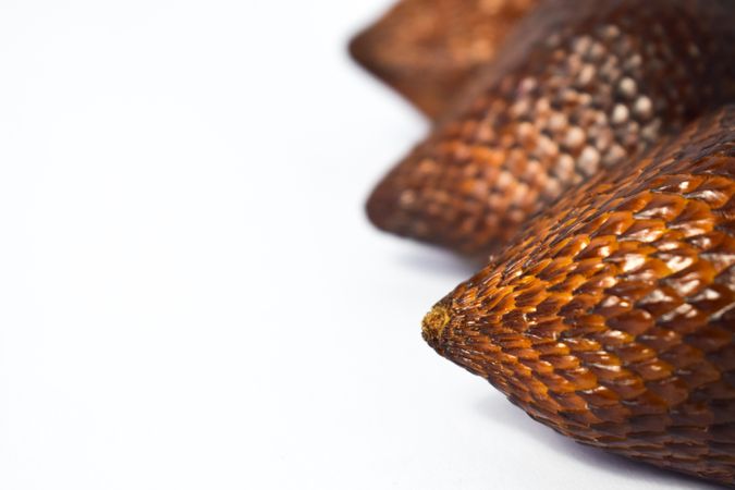 Three salaks, snake skin fruit with copy space