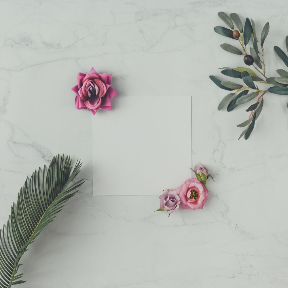 Pink flowers and leaves on marble background