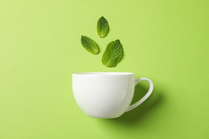 cup and leaves on green background, space for text
