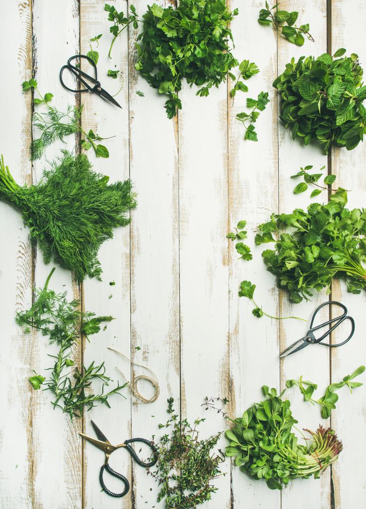 Freshly cut green herbs in an oval shape on wood table