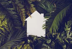 Light-colored home outline against foliage background