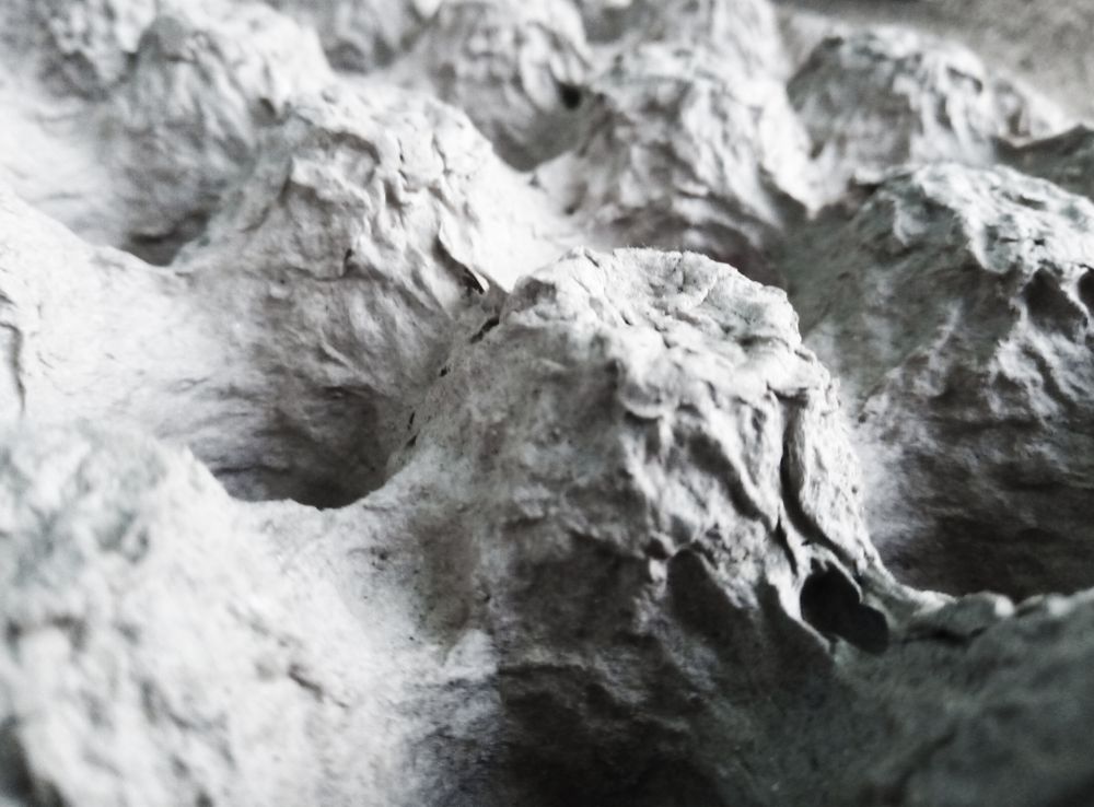 Egg carton image