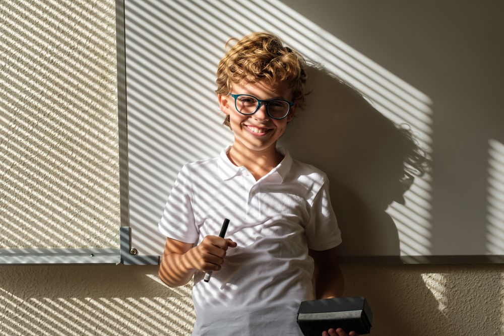 Cheerful schoolboy standing in classroom