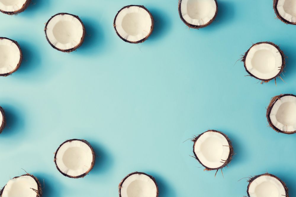 Coconut halves pattern bordering a pastel blue background