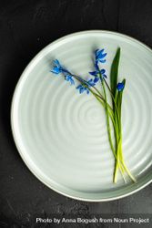 Spring table setting with blue scilla siberica 49mmGy