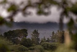 Clouds descending over mountains with branch in foreground