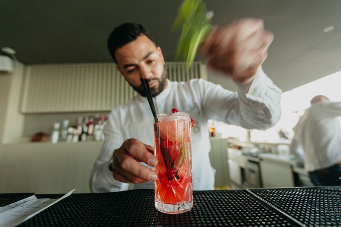 Cheerful Barman preparing alcoholic drinks in a bar.