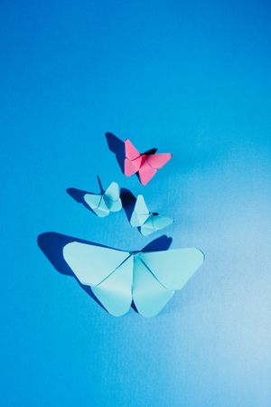 Paper butterflies on silk cloth