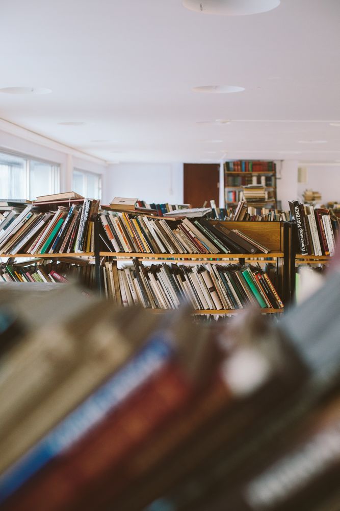 Books on brown wooden shelves