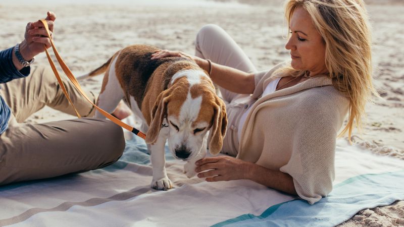 Mature couple relaxing with pet puppy on the shore