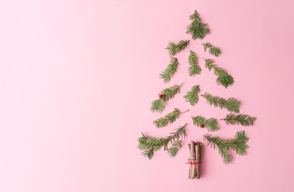 Christmas tree made with evergreen fir, and cinnamon sticks on pastel pink background