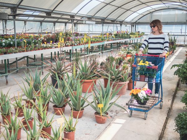 Female customer with cart on flower market