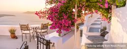 Overhang of pink flowers over a seaside patio at sunset, wide 48Dqv4