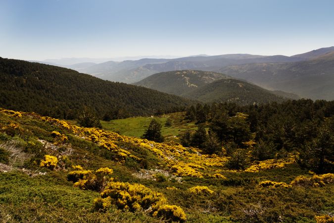 Picturesque landscape of green mountains in summer