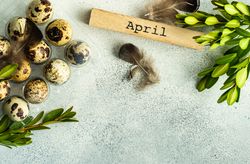 Easter card concept with top view of speckled eggs and green branches