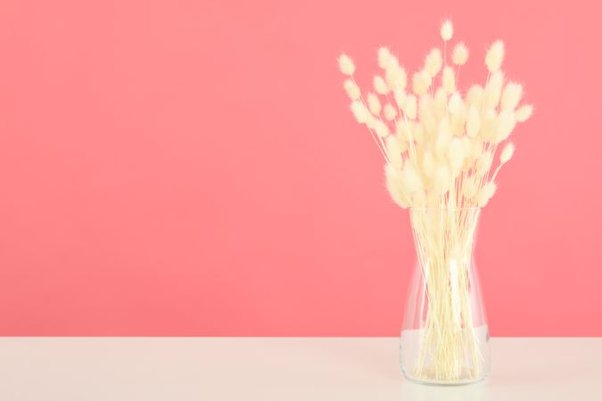 Dried flowers in glass vase on table against pink wall with copy space