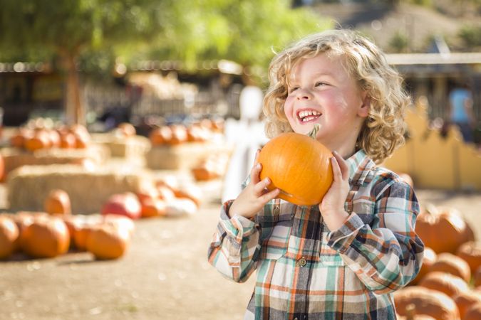 Male Child Holding His Pumpkin at a Pumpkin Patch.