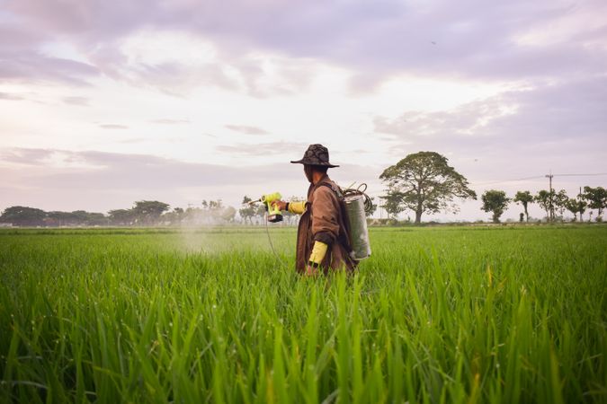 Farmer in long grass field spraying plants
